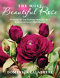 The Most Beautiful Rose: Memoir Of An Italian Immigrant's Extraordinary Childhood - Paperback