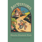 Ant Ventures - Paperback