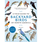 A Field Guide to Backyard Birds of North America: A Visual Directory of the Most Popular Backyard Birds - Includes a 2-Year Logbook - Paperback
