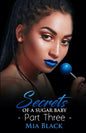 Secrets Of A Sugar Baby 3 - Paperback