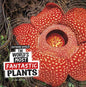 The World's Most Fantastic Plants - Hardcover