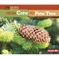 From Cone to Pine Tree - Paperback
