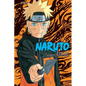Naruto (3-In-1 Edition), Vol. 14: Includes Vols. 40, 41 & 42 - Paperback