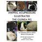 Animal Acupressure Illustration The Guinea Pig - Paperback
