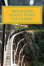 Bringing Many Sons to Glory: How Your Journey Will End - Paperback