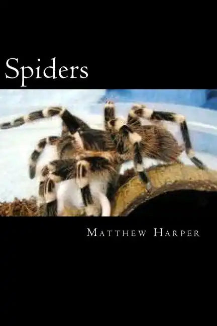 Spiders: A Fascinating Book Containing Spider Facts, Trivia, Images & Memory Recall Quiz: Suitable for Adults & Children - Paperback