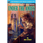 Under the Andes - Paperback