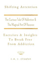 Shifting Attention: The Curious Tale Of Addiction: And The Magical Art Of Recovery - Paperback