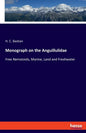 Monograph on the Anguillulidae: Free Nematoids, Marine, Land and Freshwater - Paperback