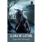 Llana Of Gathol - Paperback