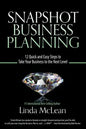 Snapshot Business Planning: 12 Quick and Easy Steps to Take Your Business to the Next Level - Paperback