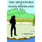 The Adventures of Sandy Woodland - Paperback
