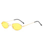 Personalized double beam glasses