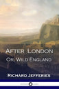 After London: Or, Wild England - A Victorian Classic of Post-Apocalyptic Science Fiction - Paperback