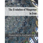 The Evolution of Muqarnas in Iran - Paperback
