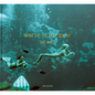 What Did the Deep Sea Say - Hardcover