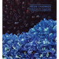 Helen Chadwick: Wreaths to Pleasure - Paperback