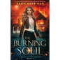 The Burning Soul: A completely addictive paranormal mystery - Paperback