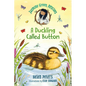 Jasmine Green Rescues: A Duckling Called Button - Hardcover