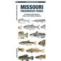 Missouri Freshwater Fishes - Paperback