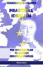 Practical Idealism: The Kalergi Plan to destroy European peoples - Paperback