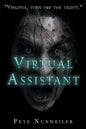 Virtual Assistant - Paperback