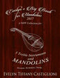 Evelyn's Big Book for Mandolins 2017: A Collection of Tunes for 3 Mandolins - Paperback