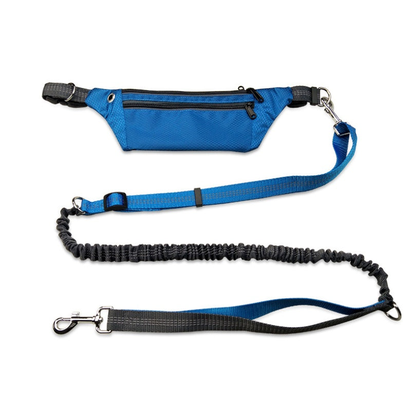 Dog collar without hands