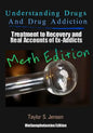 Understanding Drugs and Drug Addiction: Treatment to Recovery and Real Accounts of Ex-Addicts Volume II / Methamphetamine Edition - Paperback