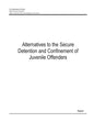 Alternatives to the Secure Detention and Confinement of Juvenile Offenders - Paperback
