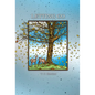 Letting Go - Hardcover