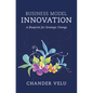 Business Model Innovation: A Blueprint for Strategic Change - Hardcover