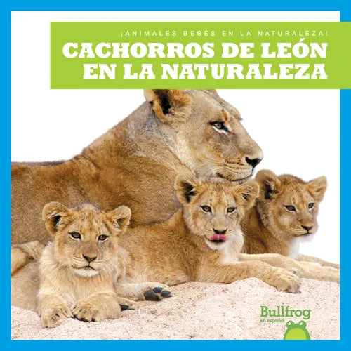 Cachorros de León En La Naturaleza (Lion Cubs in the Wild) - Library Binding
