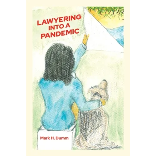 Lawyering Into A Pandemic - Paperback