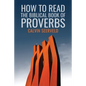 How to Read the Biblical Book of Proverbs: In paragraphs - Paperback