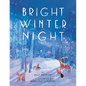 Bright Winter Night - Hardcover
