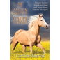 My Golden Horse - Paperback