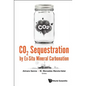 Co2 Sequestration by Ex-Situ Mineral Carbonation - Hardcover