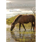 The Wild Horse Dilemma: Conflicts and Controversies of the Atlantic Coast Herds - Paperback