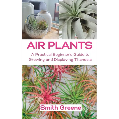 Air Plants: A Practical Beginner's Guide to Growing and Displaying Tillandsia - Paperback