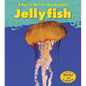 Jellyfish - Paperback