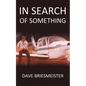 In Search of Something - Paperback