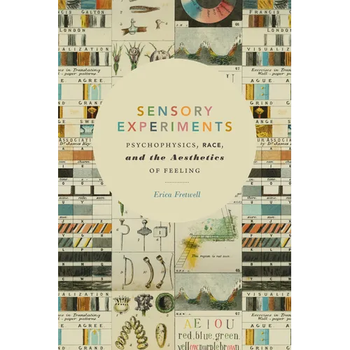 Sensory Experiments: Psychophysics, Race, and the Aesthetics of Feeling - Paperback