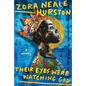 Their Eyes Were Watching God (Deluxe Edition) - Hardcover