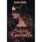 Stalking Cinderella: (A Dark RH Cinderella Retelling) - Paperback