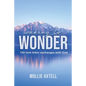Waking to Wonder - Paperback