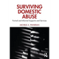 Surviving Domestic Abuse: Formal and Informal Supports and Services - Paperback