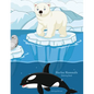Marine Mammals Coloring Book 1 - Paperback