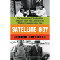 Satellite Boy: The International Manhunt for a Master Thief That Launched the Modern Communication Age - Paperback