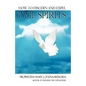 How To Discern and Expel Evil Spirits - Paperback